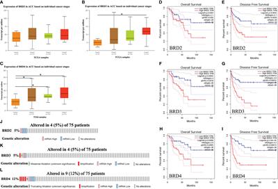 Systematic analysis of the BET family in adrenocortical carcinoma: The expression, prognosis, gene regulation network, and regulation targets